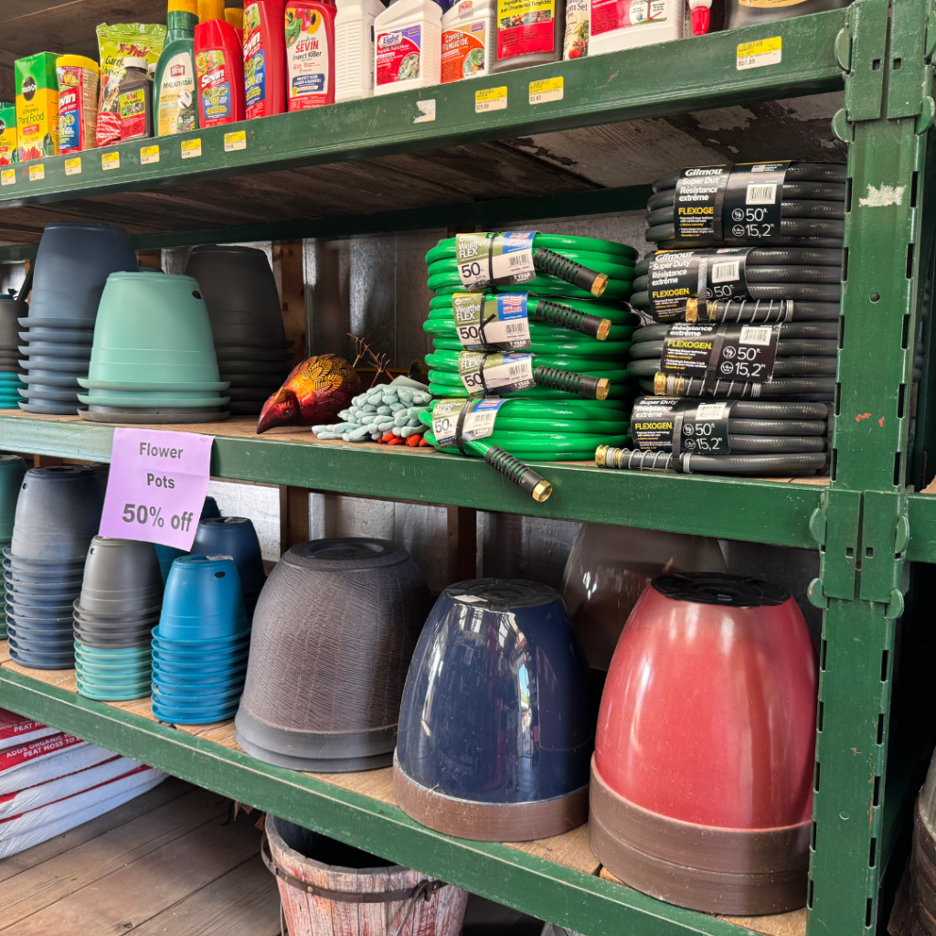 Flower pots on shelves