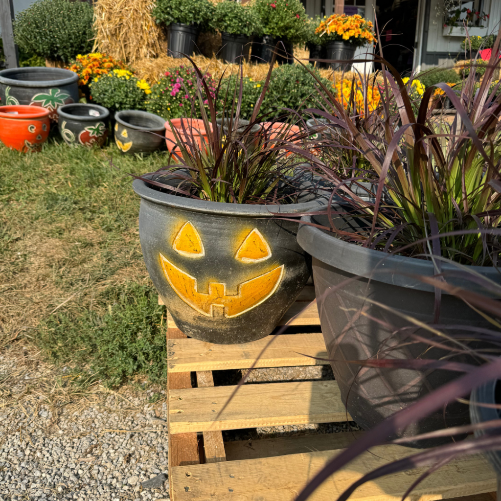 A ceramic pot with a Halloween face and grass sticking out of it.
